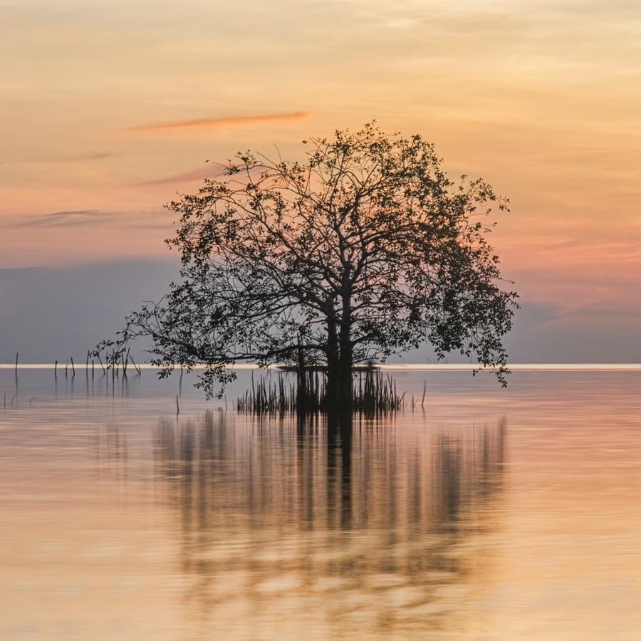 Rimlay Park Resort Phatthalung Dış mekan fotoğraf